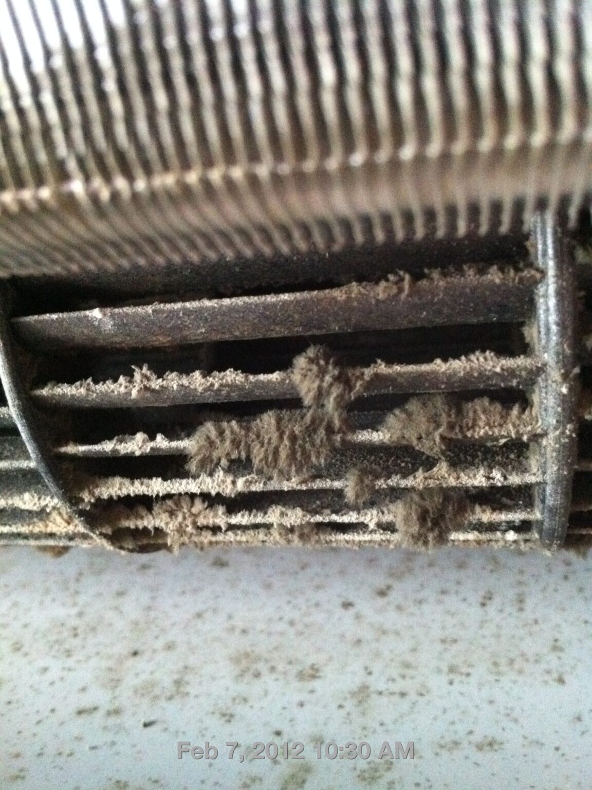 Moldy, smelly Aircon Aircon Astiquer